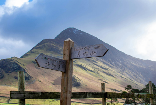 What life insurance policy should I get?