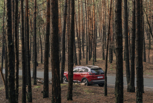 Does life insurance cover accidental death?