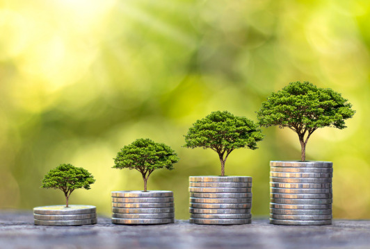 Why Have Income Protection Insurance?